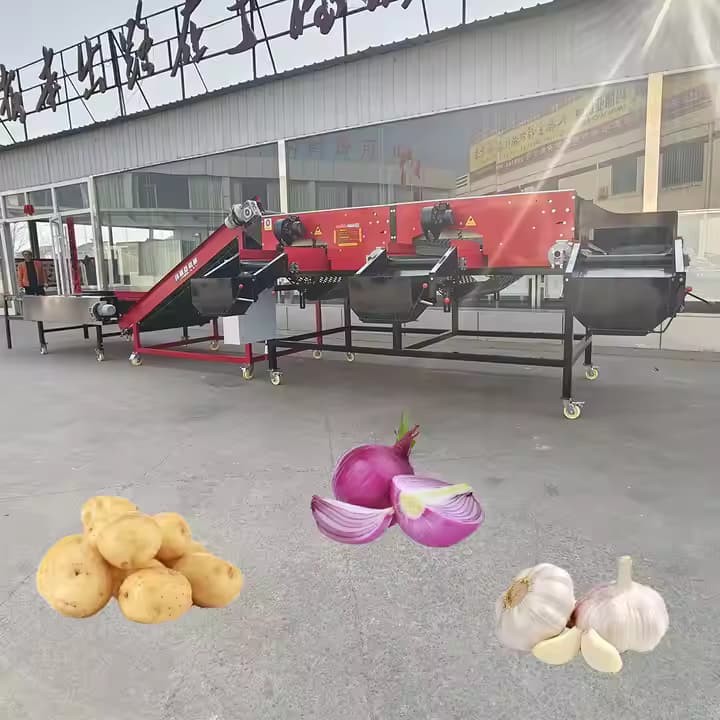 China Grader Machine Sorting Machine Onion Grading Machine Accurately Sort Onion Grades And Remove Onion Surface Dust And Floating Skin.