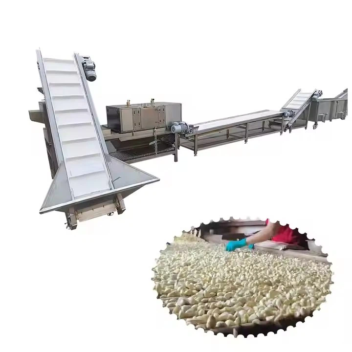 Low Investment Complete Garlic Peeling Packing Line Peeled Garlic Production Line
