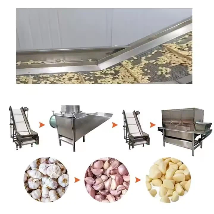 Low Investment Complete Garlic Peeling Packing Line Peeled Garlic Production Line