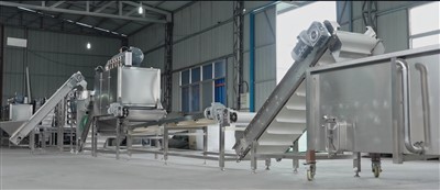 Skalad vitlök produktionslinje 1000kg/h