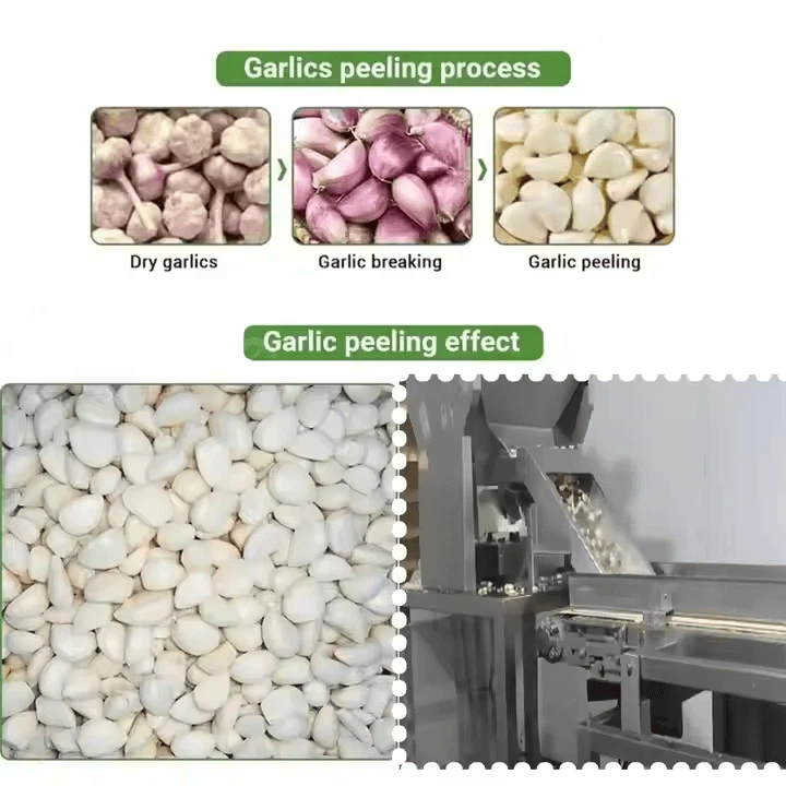 Wholesale Automatic Garlic Peeling Machinery Commercial Peeled Garlic Production Line